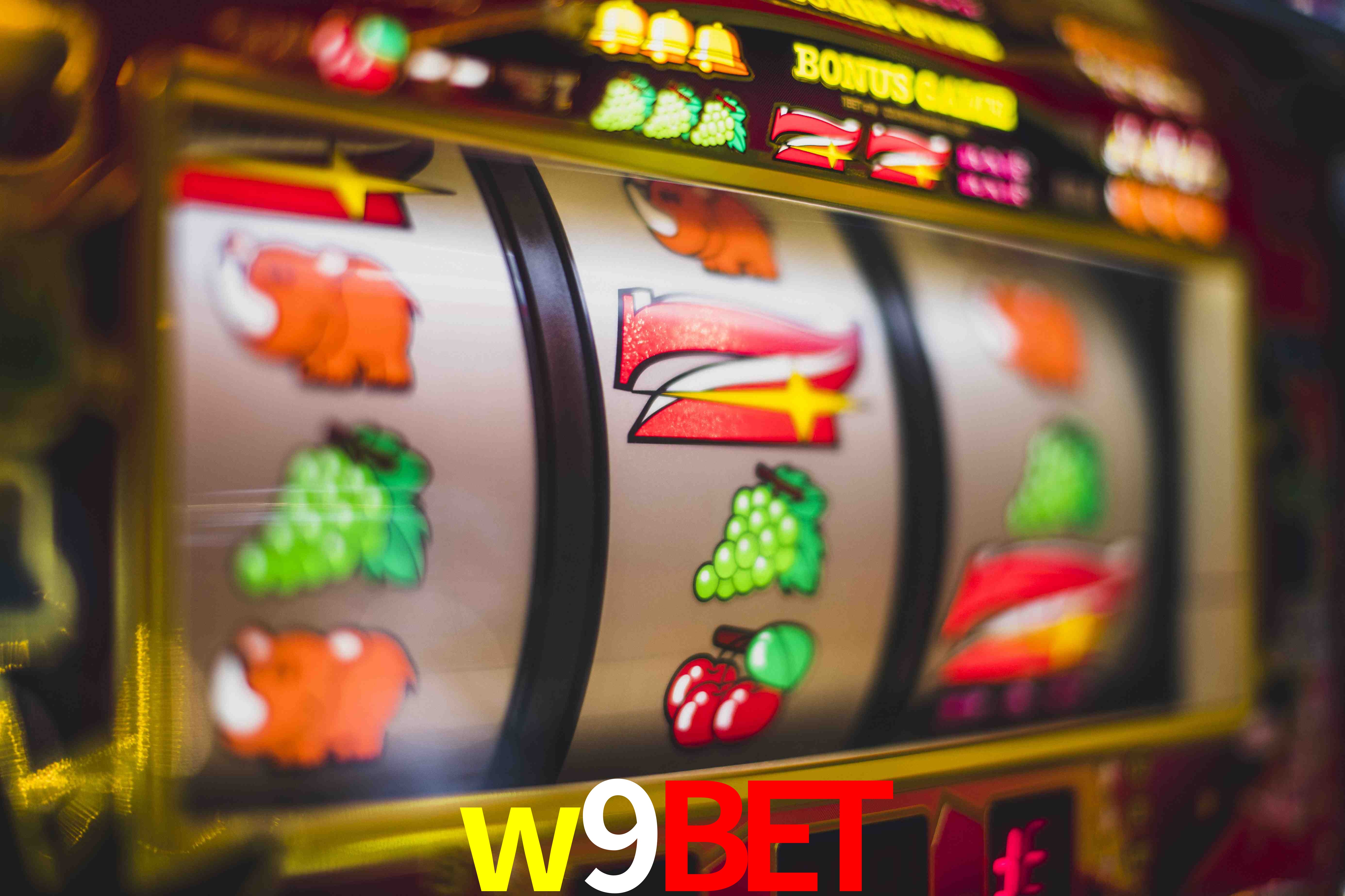Experiência VIP w9bet